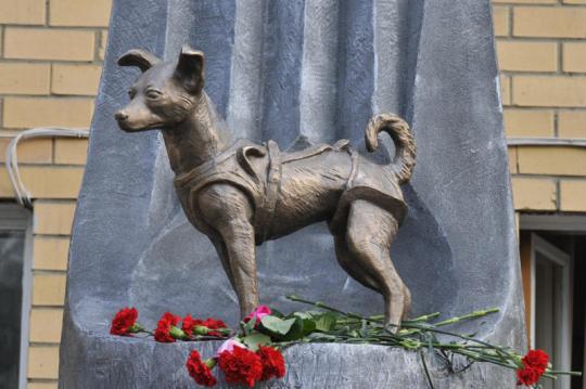 Laika statua